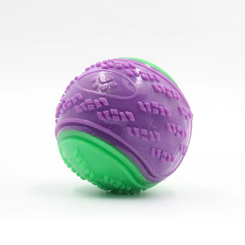 Squeaky Interactive Dog Ball