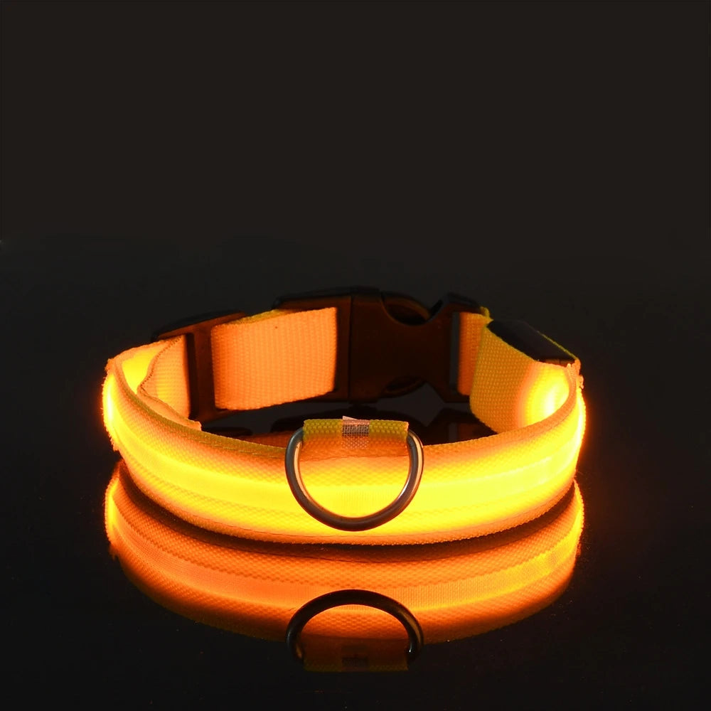 Night Glow Pet Collar