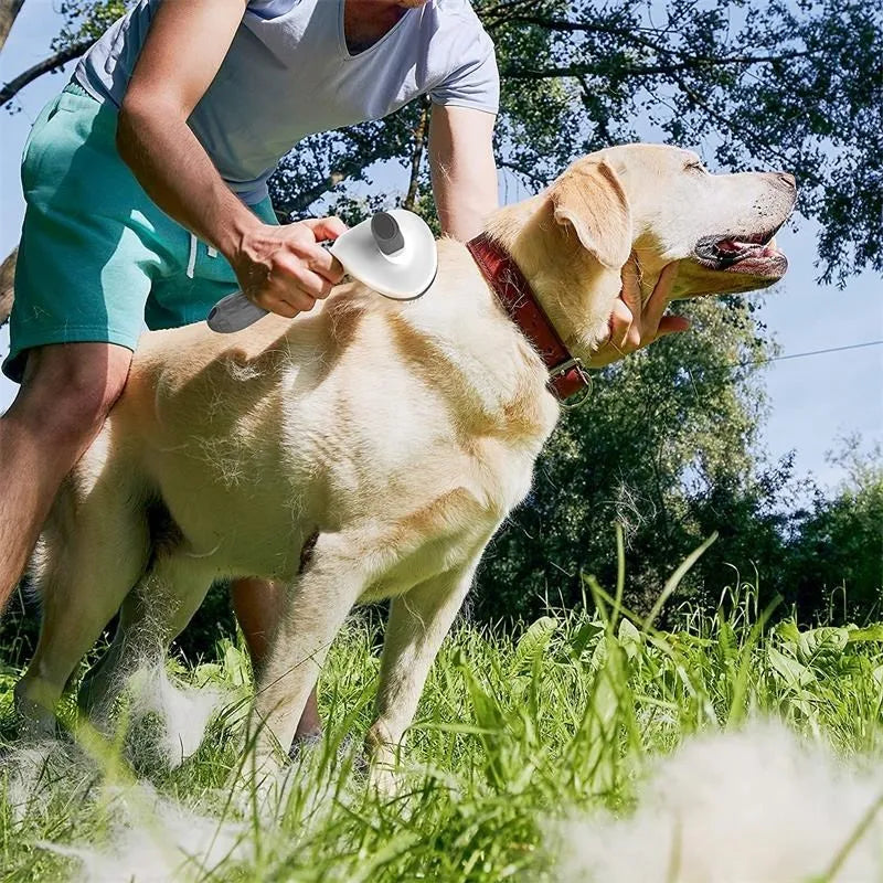 Fur-Free Self-Cleaning Brush