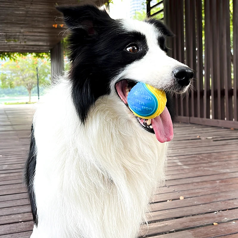 Squeaky Interactive Dog Ball