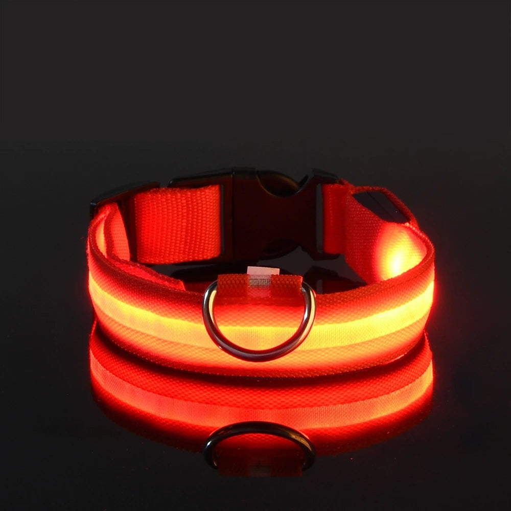 Night Glow Pet Collar