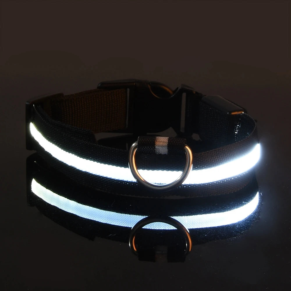 Night Glow Pet Collar
