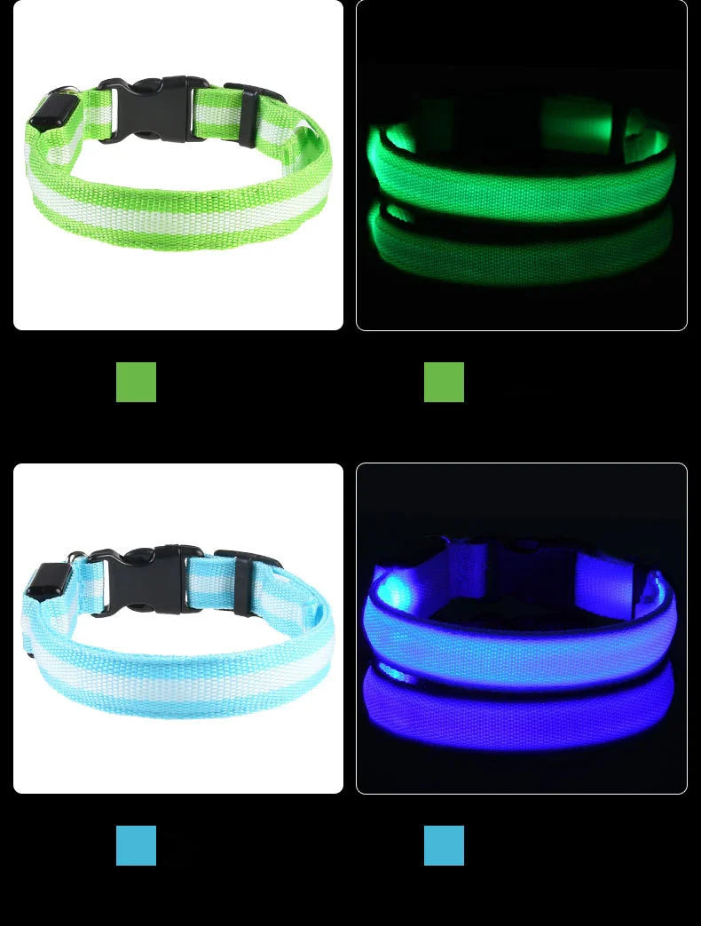 Night Glow Pet Collar