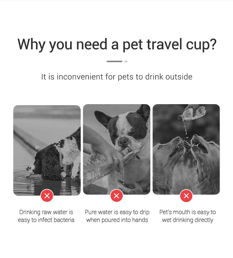 Portable Leakproof Pet Bottle