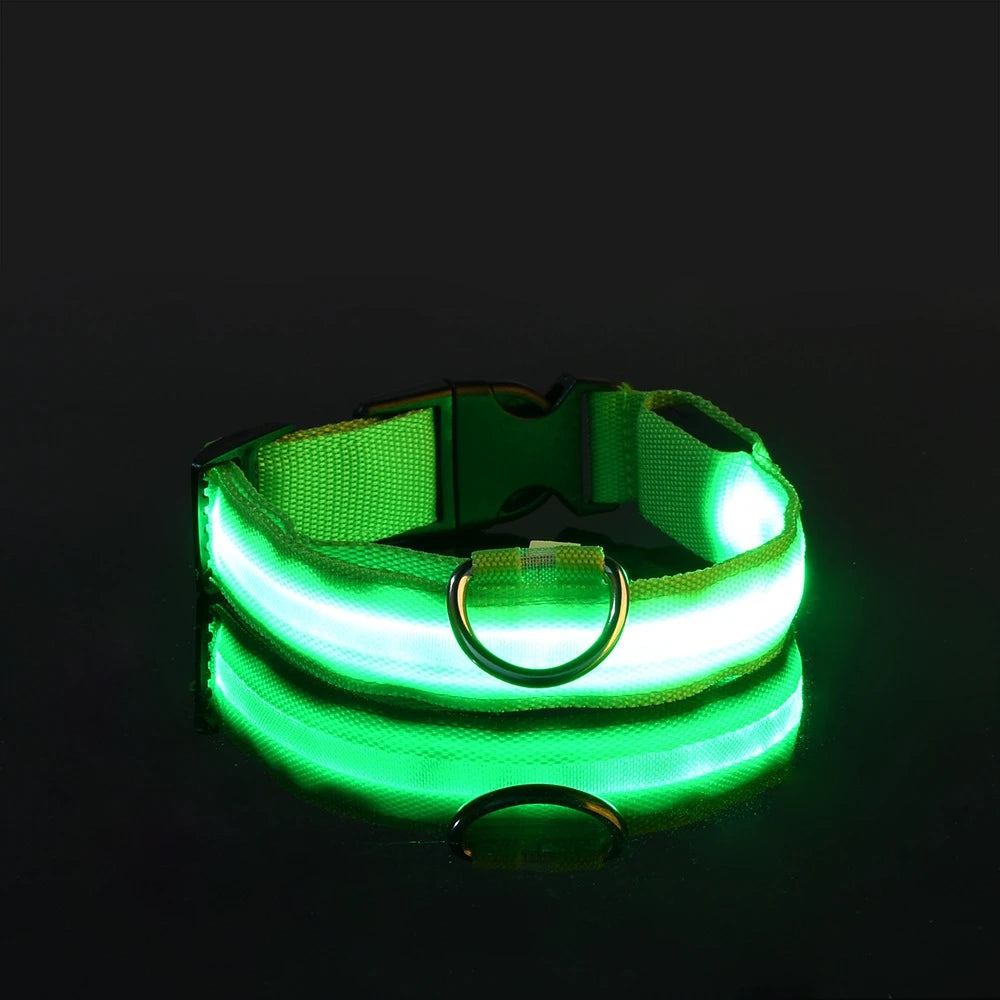 Night Glow Pet Collar