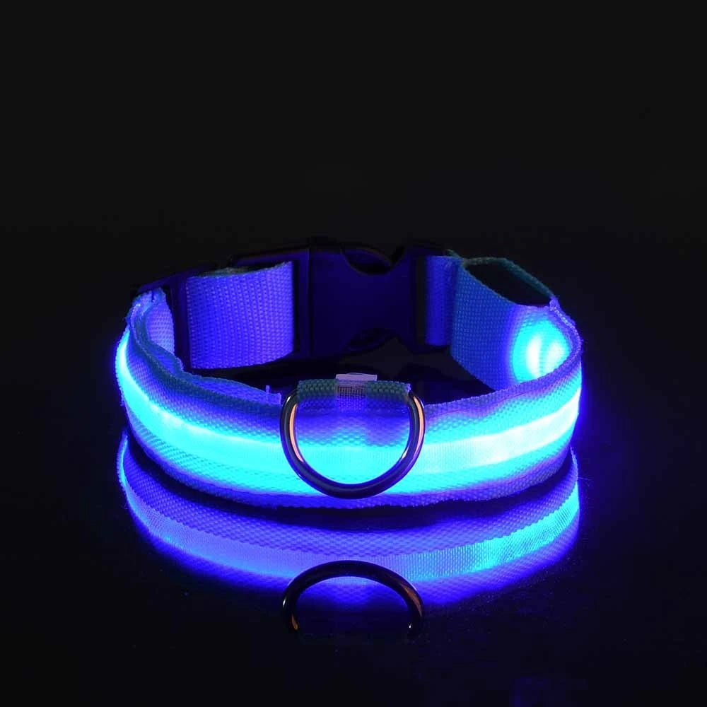 Night Glow Pet Collar