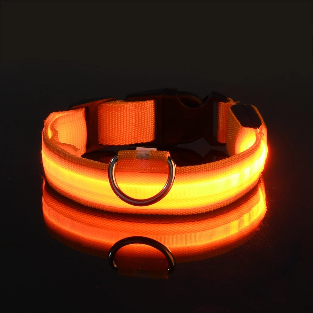 Night Glow Pet Collar