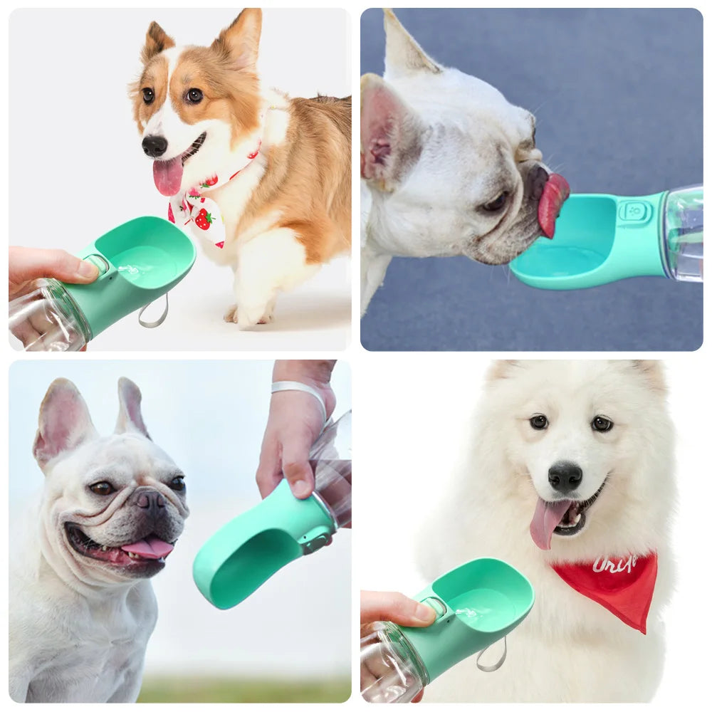 Portable Leakproof Pet Bottle