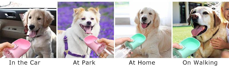 Portable Leakproof Pet Bottle