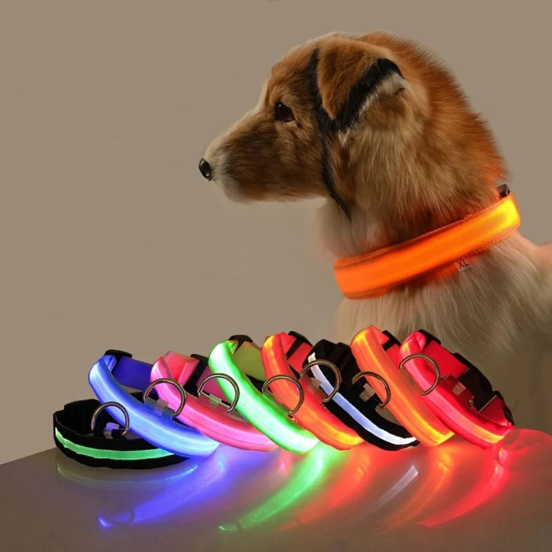 Night Glow Pet Collar