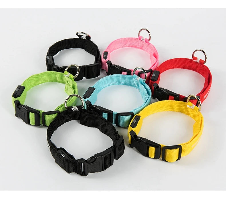 Night Glow Pet Collar
