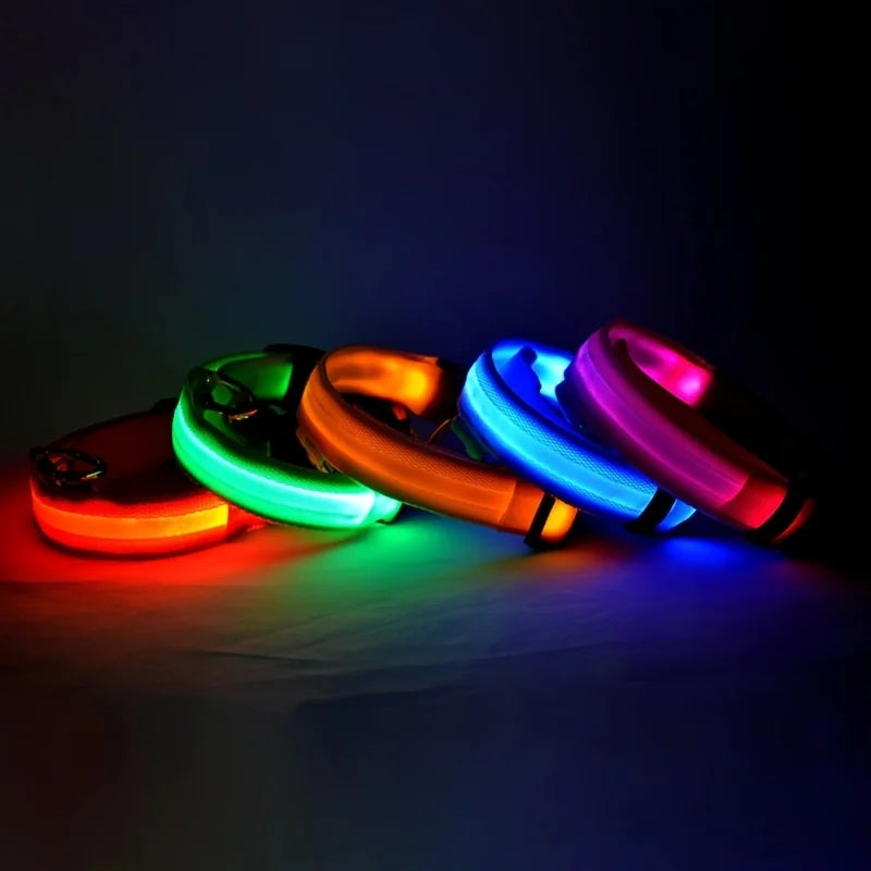 Night Glow Pet Collar