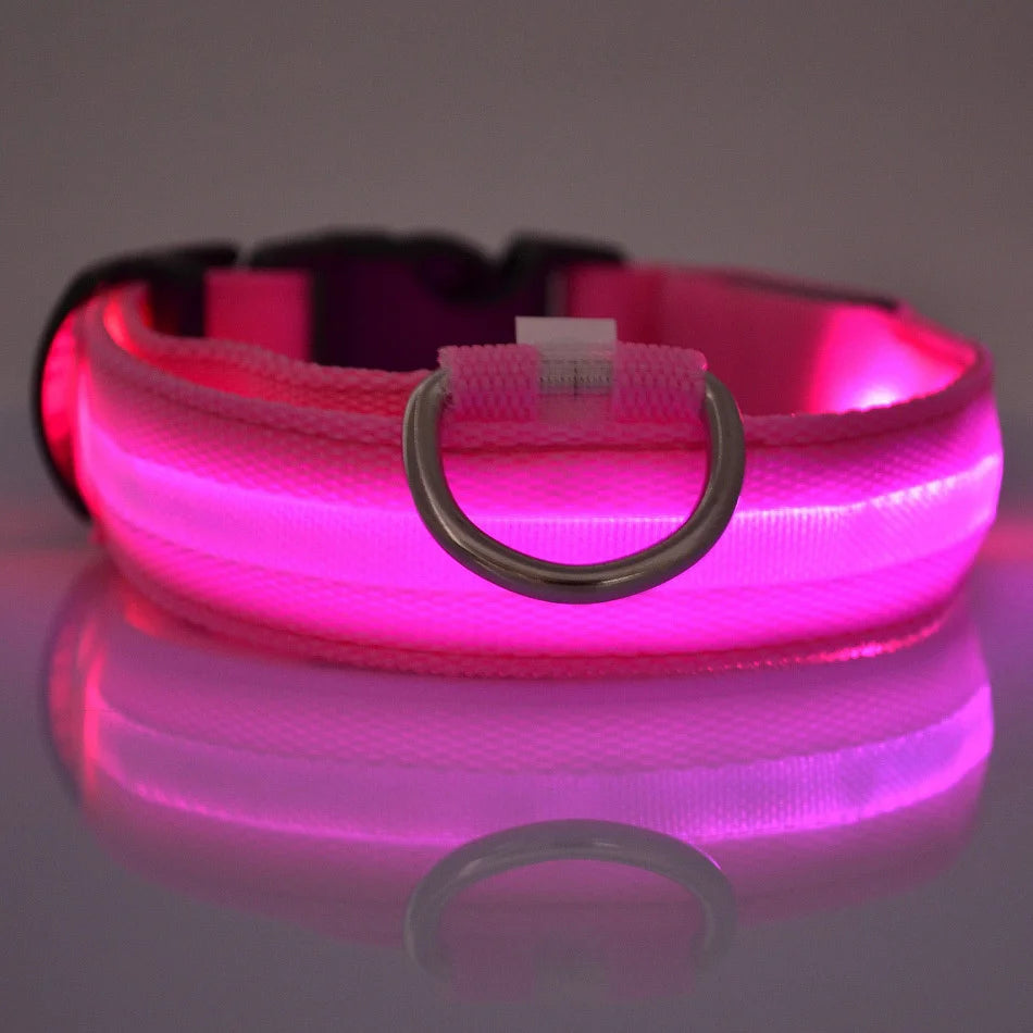 Night Glow Pet Collar