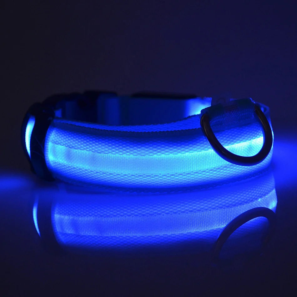 Night Glow Pet Collar