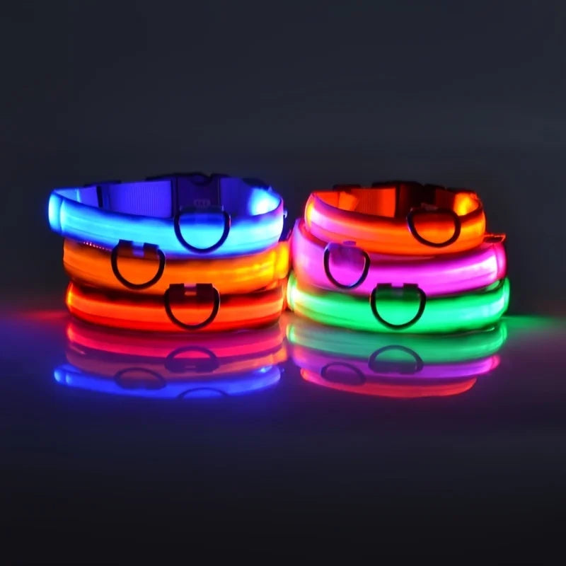 Night Glow Pet Collar
