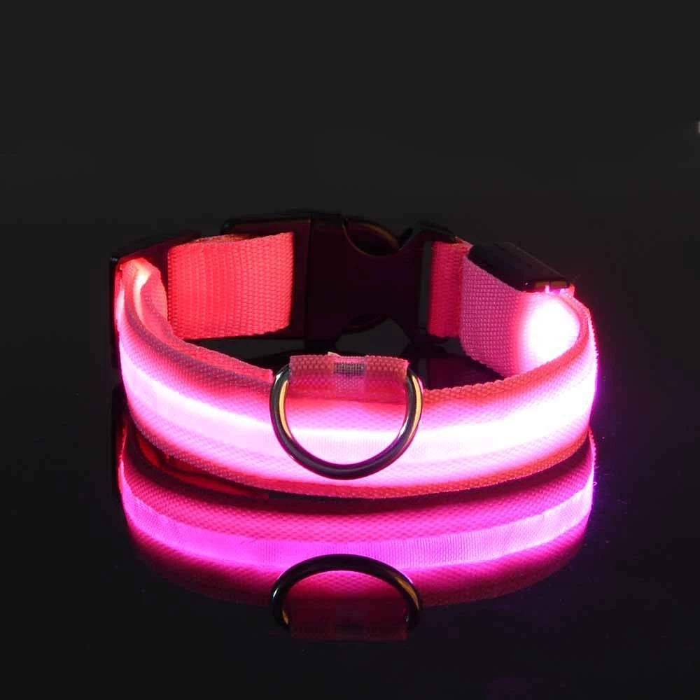 Night Glow Pet Collar
