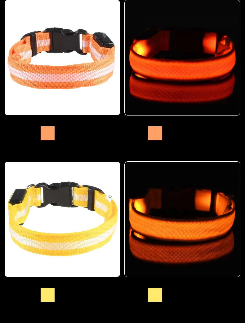 Night Glow Pet Collar