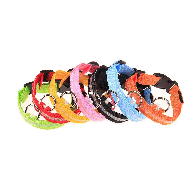 Night Glow Pet Collar