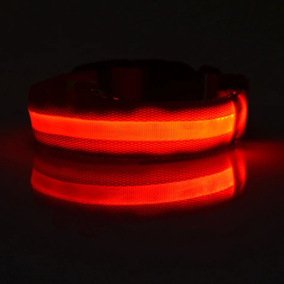 Night Glow Pet Collar