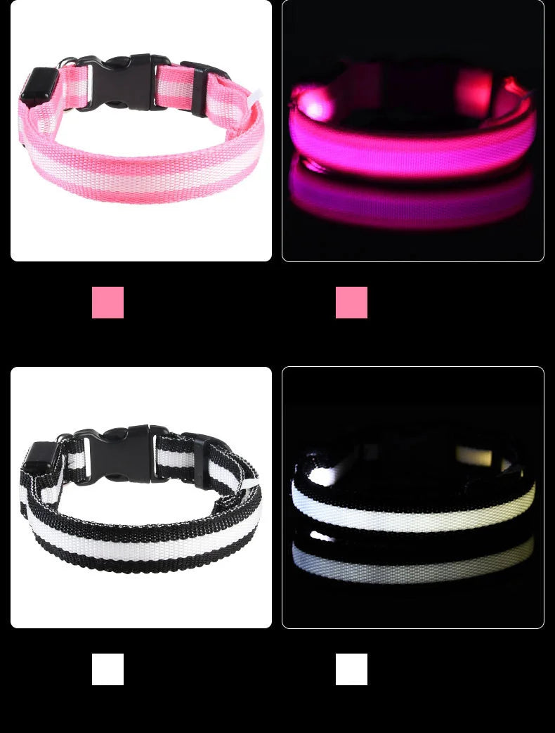 Night Glow Pet Collar
