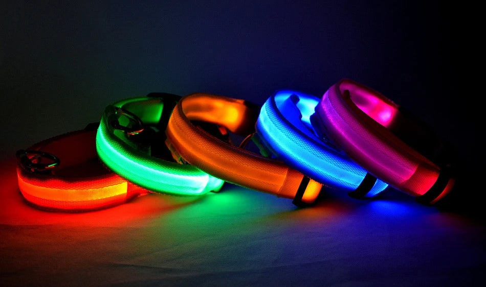 Night Glow Pet Collar