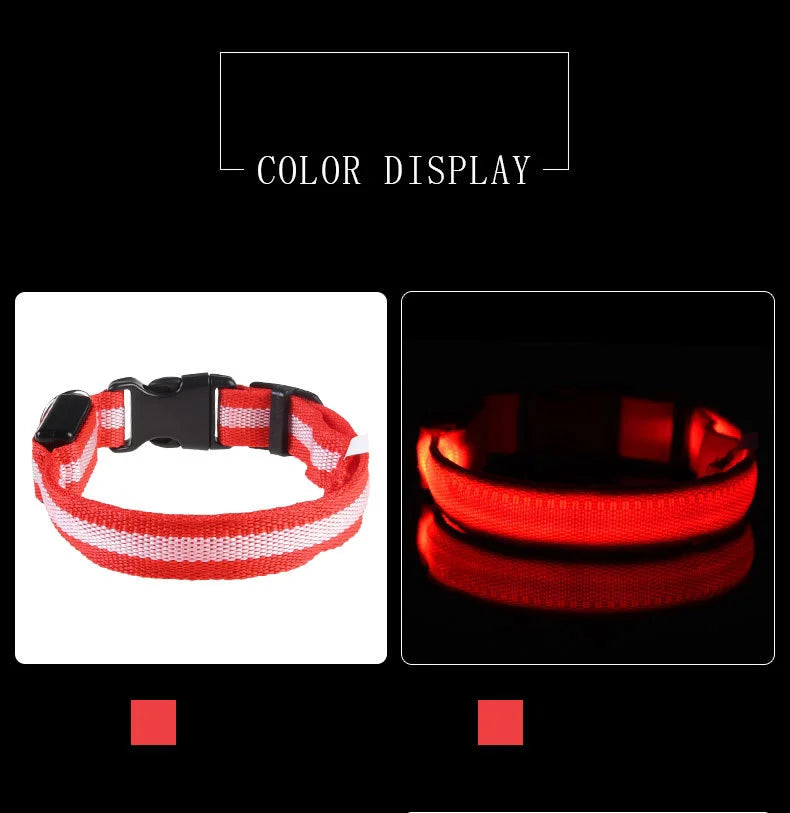 Night Glow Pet Collar